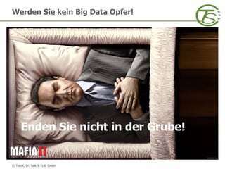 © Toedt, Dr. Selk & Coll. GmbH
Suchen Sie nicht nach Problemen!
Es gibt keine Entschuldigungen!
Enden Sie nicht in der Grube!
Werden Sie kein Big Data Opfer!
 