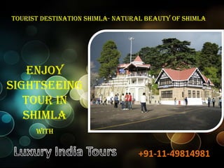 Tourist Destination Shimla- Natural Beauty of shimla




    Enjoy
Sightseeing
   Tour in
   Shimla
      with


                                 +91-11-49814981
 