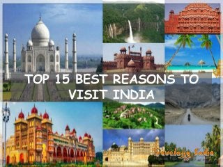 TOP 15 BEST REASONS TO
VISIT INDIA
 
