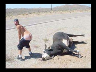 Touriste blagueur1 al3