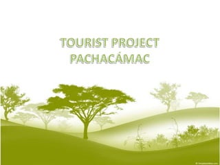 TOURIST PROJECT PACHACÁMAC 