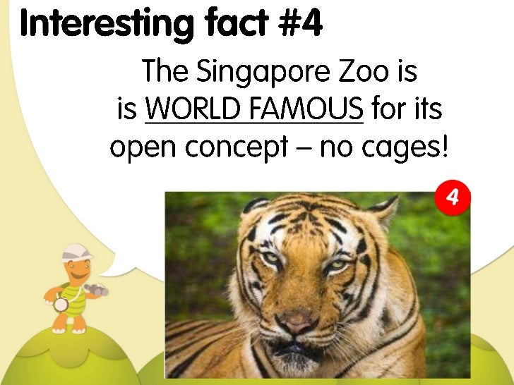 Tourist s Guide 9 Interesting Facts About Singapore
