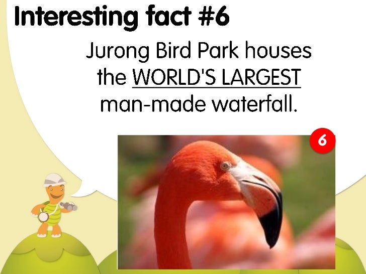 Tourist s Guide 9 Interesting Facts About Singapore