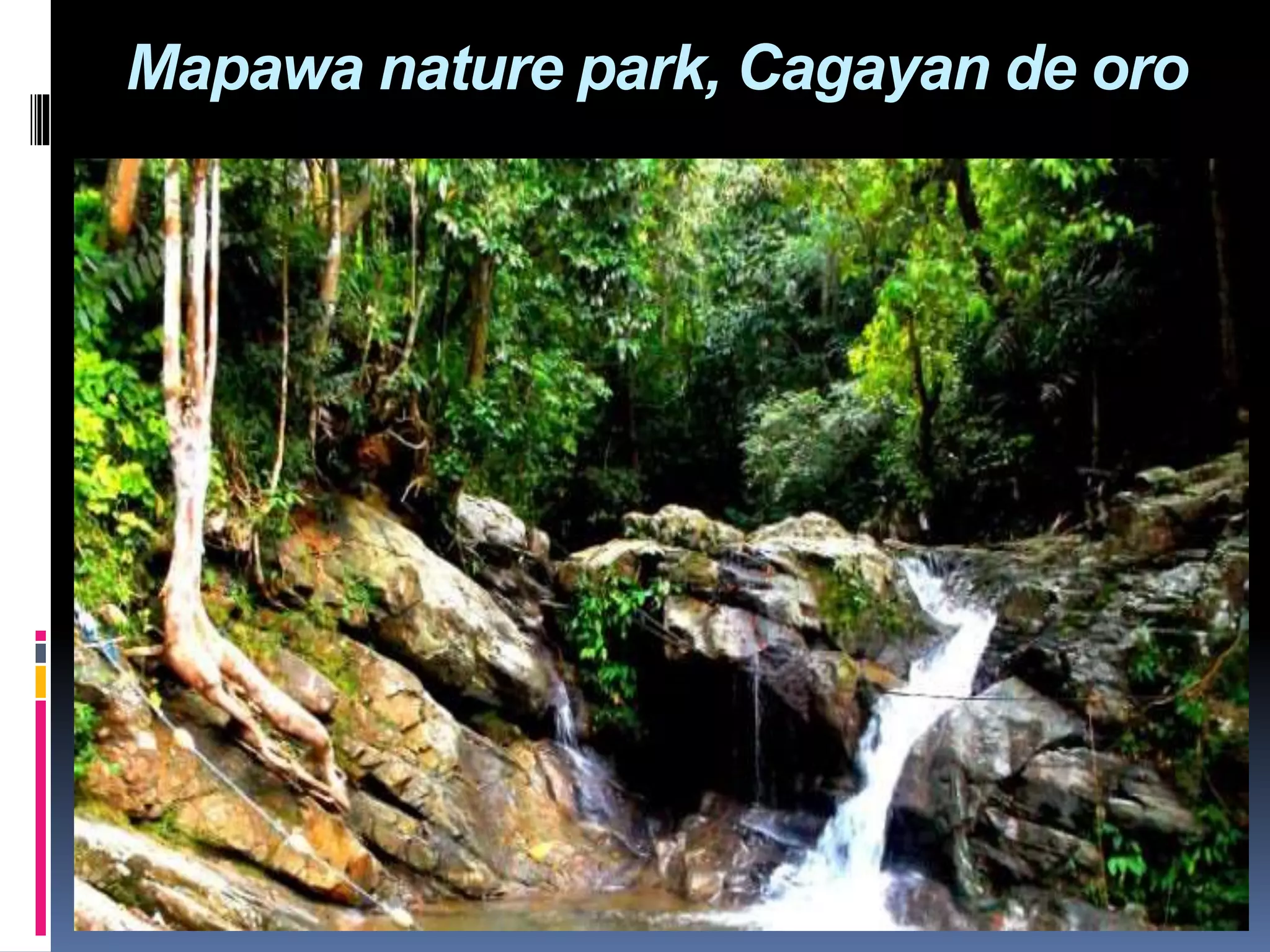 Mindanao visual data 8