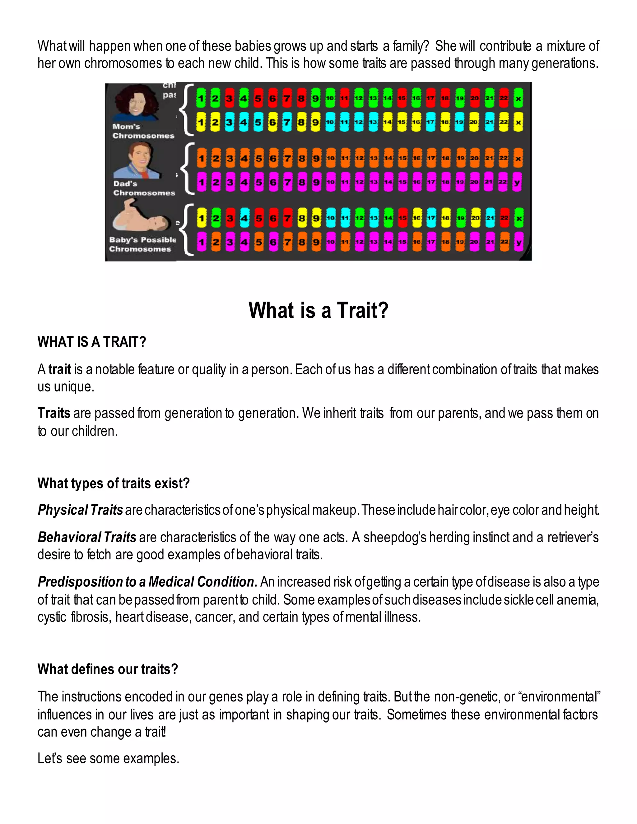 Whatwill happen when one of these babies grows up and starts a family? She will contribute a mixture of
her own chromosomes to each new child. This is how some traits are passed through many generations.
What is a Trait?
WHAT IS A TRAIT?
A trait is a notable feature or quality in a person.Each ofus has a differentcombination oftraits that makes
us unique.
Traits are passed from generation to generation. We inherit traits from our parents, and we pass them on
to our children.
What types of traits exist?
PhysicalTraitsarecharacteristicsofone’sphysicalmakeup.Theseincludehaircolor,eye colorandheight.
BehavioralTraits are characteristics of the way one acts. A sheepdog’s herding instinct and a retriever’s
desire to fetch are good examples ofbehavioral traits.
Predispositionto a Medical Condition. An increased risk ofgetting a certain type ofdisease is also a type
of trait that can bepassedfrom parentto child. Some examplesofsuchdiseasesincludesicklecell anemia,
cystic fibrosis, heartdisease, cancer, and certain types ofmental illness.
What defines our traits?
The instructions encoded in our genes play a role in defining traits. Butthe non-genetic, or “environmental”
influences in our lives are just as important in shaping our traits. Sometimes these environmental factors
can even change a trait!
Let’s see some examples.
 
