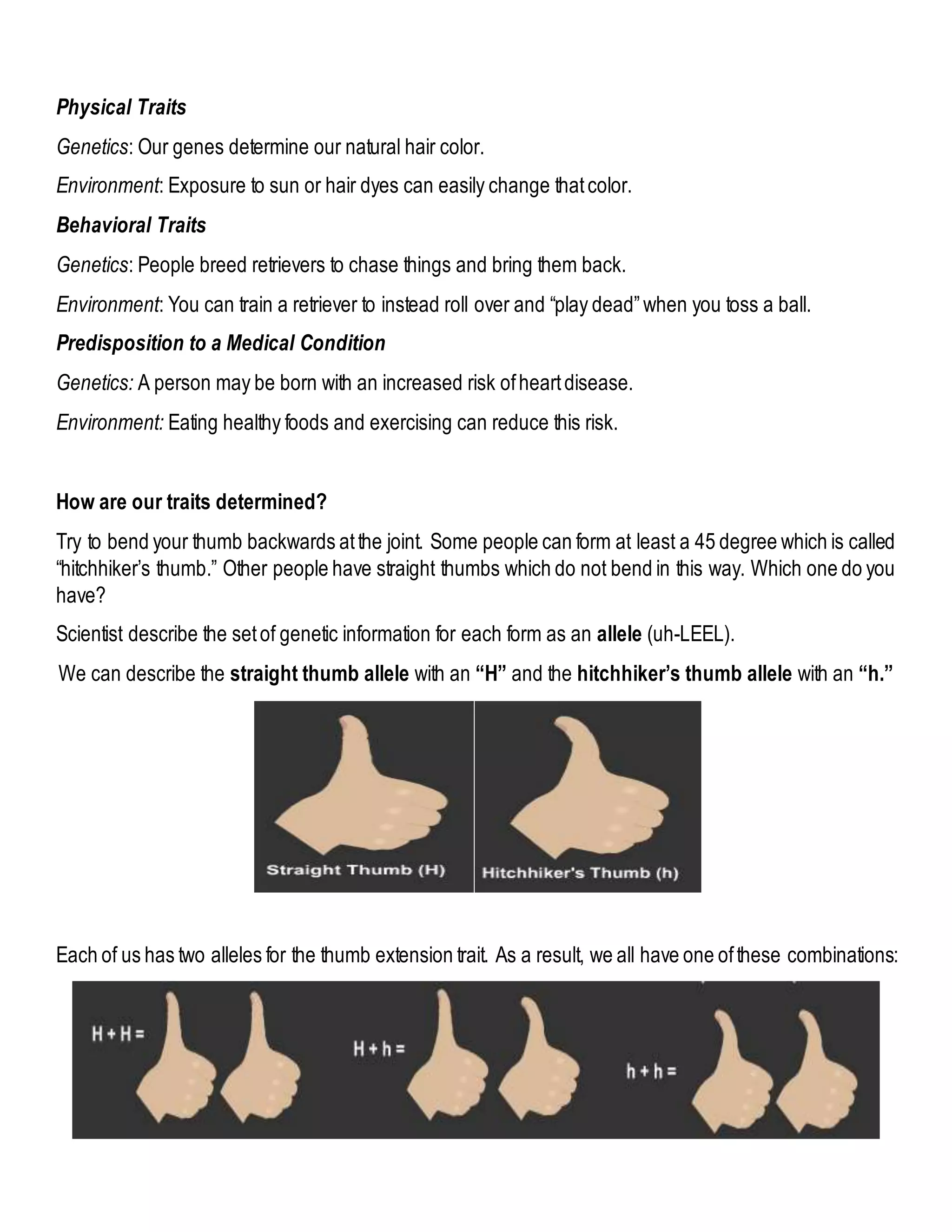 Physical Traits
Genetics: Our genes determine our natural hair color.
Environment: Exposure to sun or hair dyes can easily change thatcolor.
Behavioral Traits
Genetics: People breed retrievers to chase things and bring them back.
Environment: You can train a retriever to instead roll over and “play dead”when you toss a ball.
Predisposition to a Medical Condition
Genetics: A person may be born with an increased risk ofheartdisease.
Environment: Eating healthy foods and exercising can reduce this risk.
How are our traits determined?
Try to bend your thumb backwards atthe joint. Some people can form at least a 45 degree which is called
“hitchhiker’s thumb.” Other people have straight thumbs which do not bend in this way. Which one do you
have?
Scientist describe the setof genetic information for each form as an allele (uh-LEEL).
We can describe the straight thumb allele with an “H” and the hitchhiker’s thumb allele with an “h.”
Each of us has two alleles for the thumb extension trait. As a result, we all have one ofthese combinations:
 
