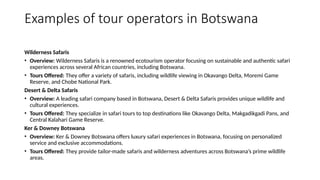 tour operations in the tourism industry (2).pptx