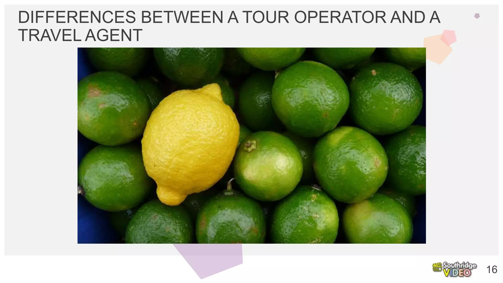 DIFFERENCES BETWEEN A TOUR OPERATOR AND A
TRAVEL AGENT
16
 