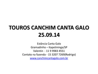TOUROS CANCHIM CANTA GALO 
25.09.14 
Estância Canta Galo 
Gramadinho – Itapetininga/SP 
Valentin - 11 9 9983 4551 
Contato na fazenda - 15 3207 7269(Rodrigo) 
www.canchimcantagalo.com.br 
 
