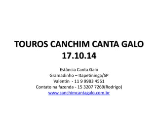 TOUROS CANCHIM CANTA GALO 
17.10.14 
Estância Canta Galo 
Gramadinho – Itapetininga/SP 
Valentin - 11 9 9983 4551 
Contato na fazenda - 15 3207 7269(Rodrigo) 
www.canchimcantagalo.com.br 
 