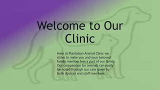 Welcome to Our 
Clinic 
Here at Plantation Animal Clinic we 
strive to make you and your beloved 
family member feel a part of our family. 
Our compassion for animals can easily 
be noted through our care given by 
both doctors and staff members. 
 