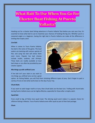 Heading out for a charter boat fishing adventure in Puerto Vallarta? But before you cast your line, it's
essential to know what bait to use to maximize your chances of hooking the big one. Whether you're a
seasoned angler or a beginner, having the right bait in Puerto Vallarta can make all the difference in
landing that trophy catch.
Live Bait
When it comes to Tours Puerto Vallarta,
live bait is the name of the game. The local
waters are teeming with various species of
fish, and using live bait will entice them
even more. Popular live bait choices
include mullet, sardines, and shrimps.
These baits are readily available at local
bait shops or can often be provided by your
charter captain.
Mix things up with artificial Lures
If live bait isn't your style or you want to
mix things up, artificial lures can be a great
option. At Fishing Rebels, you will find them imitating different types of prey. Don't forget to pack a
variety of lures to test what works best on the day of your trip.
Chunk Baits
If you want to catch larger marlin or tuna, then chunk baits are the best lure. Trolling with chunk baits
during Puerto Vallarta tours can be highly effective, especially for those after a trophy catch.
Squid Bait
From small to big, all fishes love squid meat. The alluring squid scent makes it a popular choice for
offshore fishing in Mexico. Tours Puerto Vallarta even offer squid as part of their bait package.
Chum
 