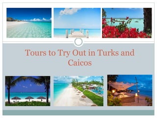 Tours to Try Out in Turks and
Caicos
 