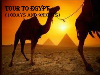 Tour to Egypt (10days and 9nights) 