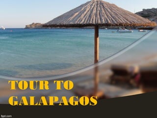 TOUR TO
GALAPAGOS
 