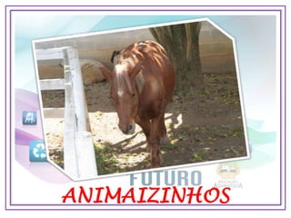 ANIMAIZINHOS
 
