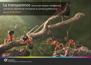 17 
La transparence assure que chaque collaborateur 
connait les objectifs de l’entreprise et connait parfaitement 
sa contribution  