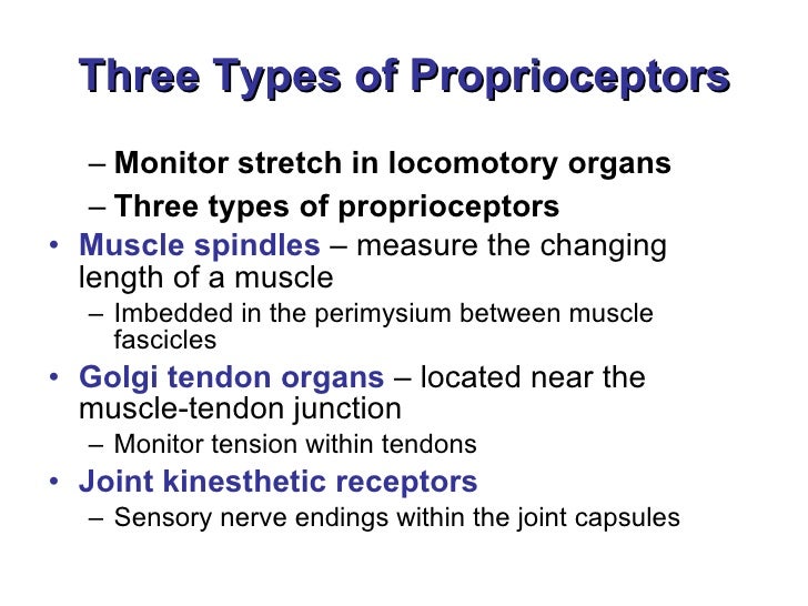 Tousif Role Of Receptors