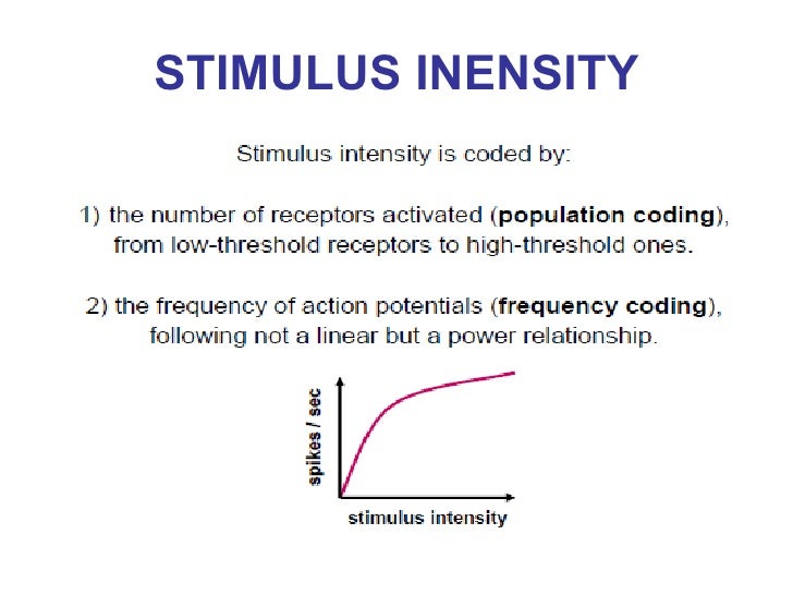 What Is The Difference Between Stimulus Intensity And Stimulus Frequency 👍 What is the difference between stimulus intensity and stimulus