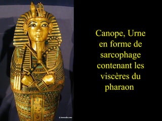 Canope, Urne
 en forme de
 sarcophage
contenant les
 viscères du
  pharaon
 