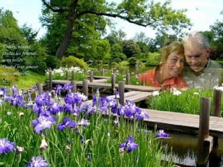 Toutes, toutes, toutes les femmes sont belles Quand leur amour nous ensoleille 