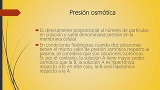 Presión osmótica
Es directamente proporcional al número de partículas
en solución y suele denominarse presión en la
membrana celular.
En condiciones fisiológicas cuando dos soluciones
tienen el mismo valor de presión osmótica respecto al
plasma, se considera que son soluciones isotónicas.
Si, por el contrario, la solución A tiene mayor poder
osmótico que la B, la solución A es hipertónica
respecto a B; en este caso, la B será hipotónica
respecto a la A.
 