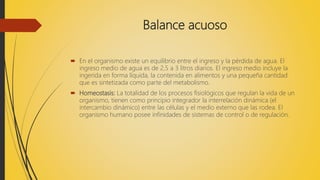 Balance acuoso
 En el organismo existe un equilibrio entre el ingreso y la pérdida de agua. El
ingreso medio de agua es de 2,5 a 3 litros diarios. El ingreso medio incluye la
ingerida en forma líquida, la contenida en alimentos y una pequeña cantidad
que es sintetizada como parte del metabolismo.
 Homeostasis: La totalidad de los procesos fisiológicos que regulan la vida de un
organismo, tienen como principio integrador la interrelación dinámica (el
intercambio dinámico) entre las células y el medio externo que las rodea. El
organismo humano posee infinidades de sistemas de control o de regulación.
 