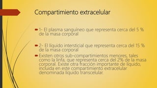 Compartimiento extracelular
1- El plasma sanguíneo que representa cerca del 5 %
de la masa corporal
2- El líquido intersticial que representa cerca del 15 %
de la masa corporal
Existen otros sub-compartimientos menores, tales
como la linfa, que representa cerca del 2% de la masa
corporal. Existe otra fracción importante de líquido,
incluida en este compartimiento extracelular
denominada líquido transcelular.
 