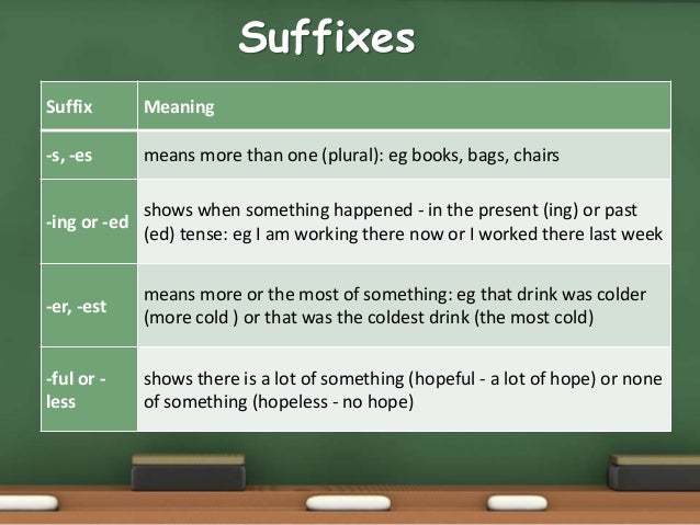 Root word, Prefix and Suffix.