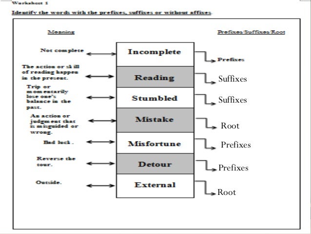 Root word, Prefix and Suffix.