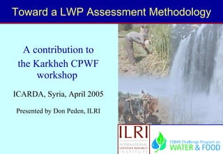 Toward a LWP Assessment Methodology A contribution to the Karkheh CPWF workshop  ICARDA, Syria, April 2005 Presented by Don Peden, ILRI 