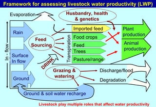 Toward a LWP assessment methodology: a contribution to the Karkheh CPWF workshop