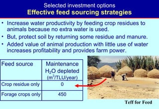 Toward a LWP assessment methodology: a contribution to the Karkheh CPWF workshop