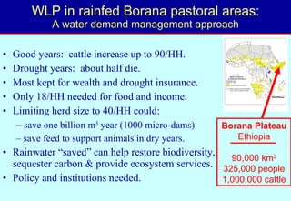 Toward a LWP assessment methodology: a contribution to the Karkheh CPWF workshop