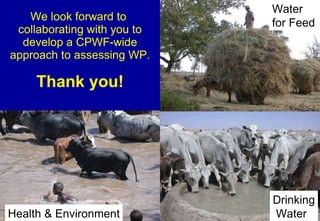 Toward a LWP assessment methodology: a contribution to the Karkheh CPWF workshop