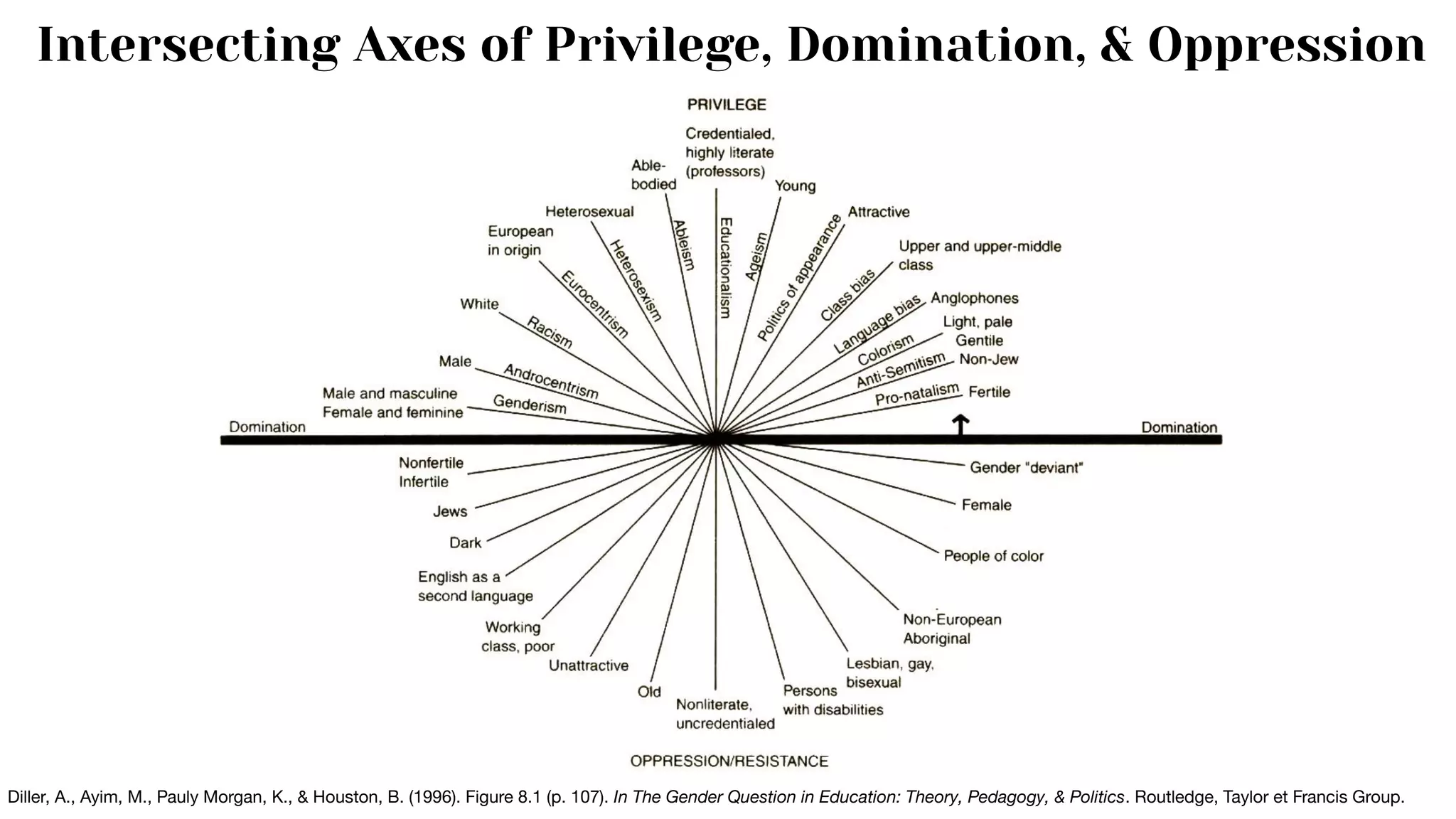 Diller, A., Ayim, M., Pauly Morgan, K., & Houston, B. (1996). Figure 8.1 (p. 107). In The Gender Question in Education: Theory, Pedagogy, & Politics. Routledge, Taylor et Francis Group.
Intersecting Axes of Privilege, Domination, & Oppression
 