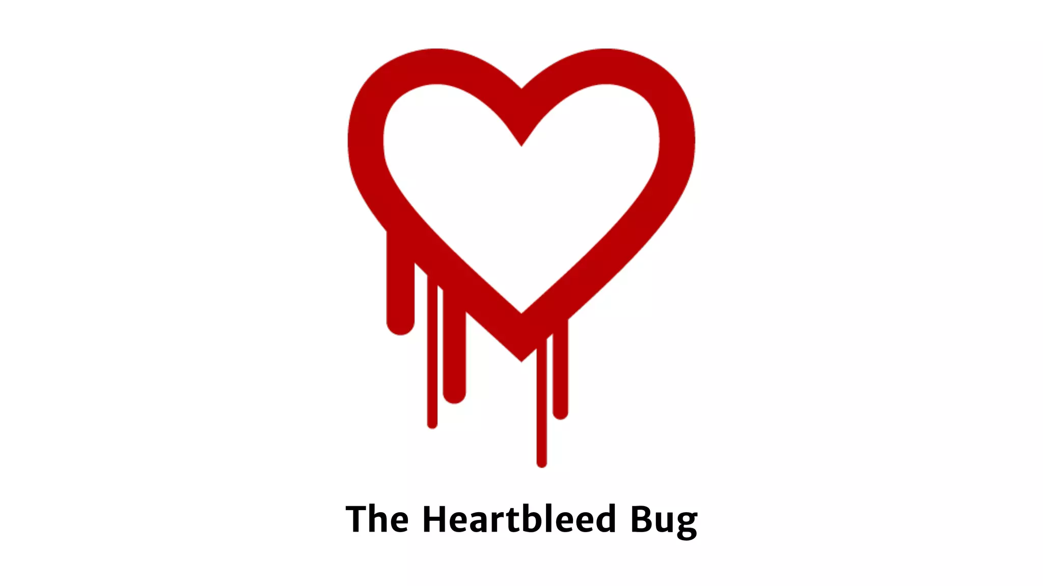 The Heartbleed Bug
 