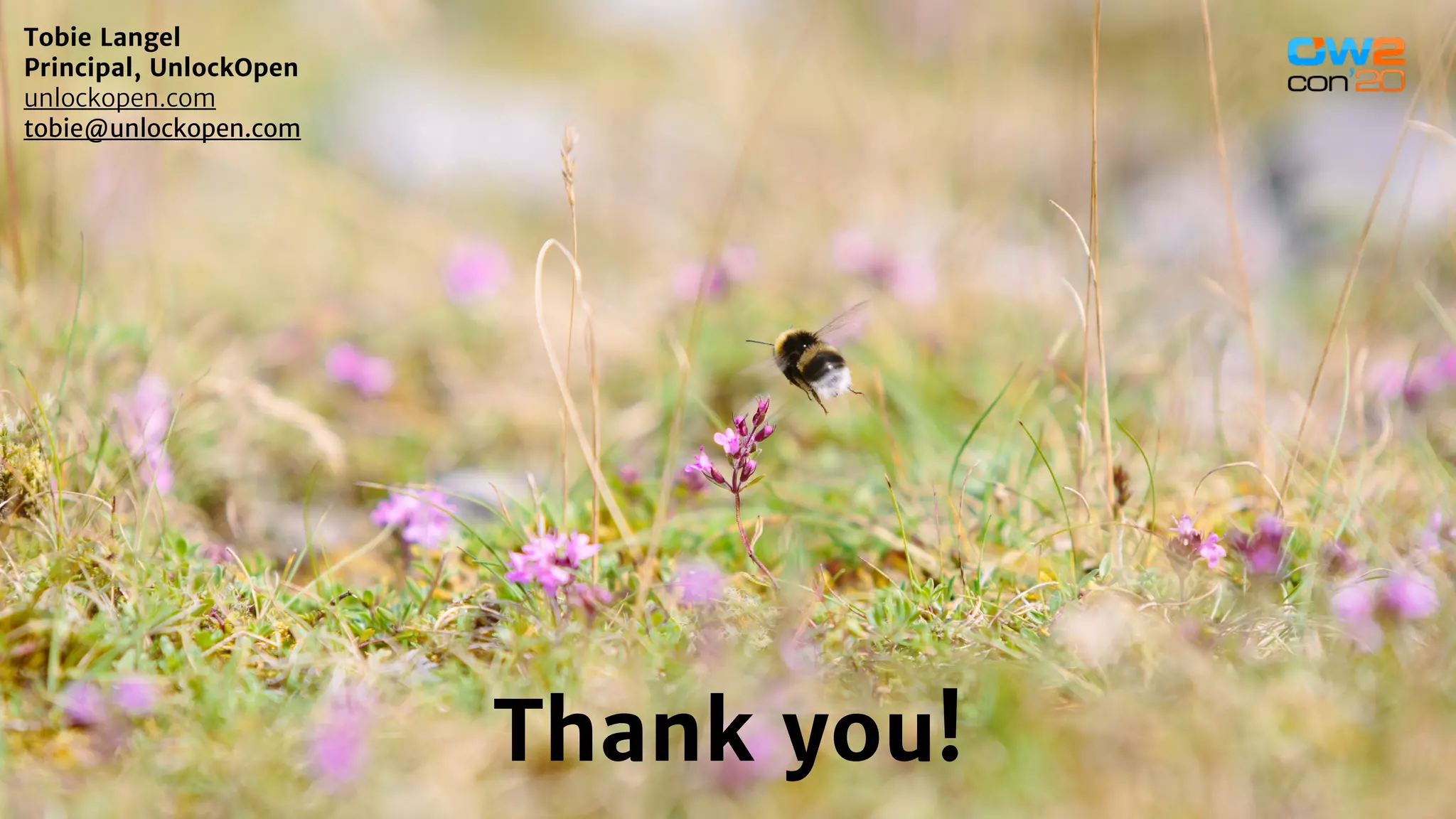 Thank you!
Tobie Langel
Principal, UnlockOpen
unlockopen.com
tobie@unlockopen.com
 