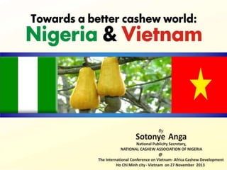 Towards a better cashew world. nigeria & vietnam by sotonye anga new