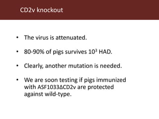 Towards a vaccine for African swine fever