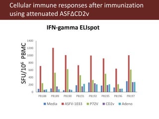 Towards a vaccine for African swine fever