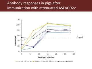 Towards a vaccine for African swine fever