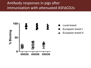 Towards a vaccine for African swine fever