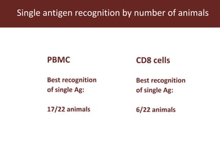 Towards a vaccine for African swine fever