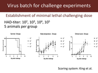 Towards a vaccine for African swine fever