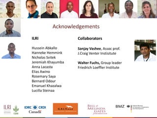 Towards a vaccine for African swine fever