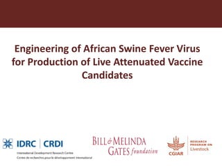 Towards a vaccine for African swine fever