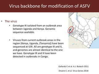 Towards a vaccine for African swine fever