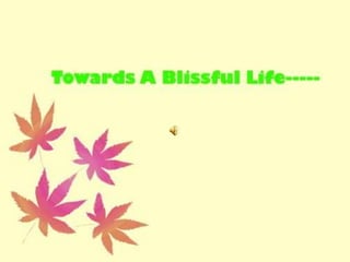 Towards Blissful Life