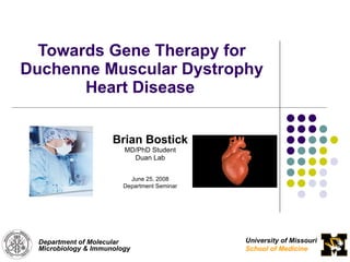 Towards Gene Therapy for Duchenne Muscular Dystrophy Heart Disease   Brian Bostick MD/PhD Student Duan Lab June 25, 2008 Department Seminar University of Missouri School of Medicine Department of Molecular Microbiology & Immunology 